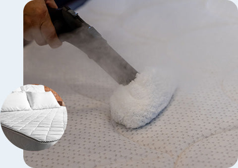 Bedbug Elimination