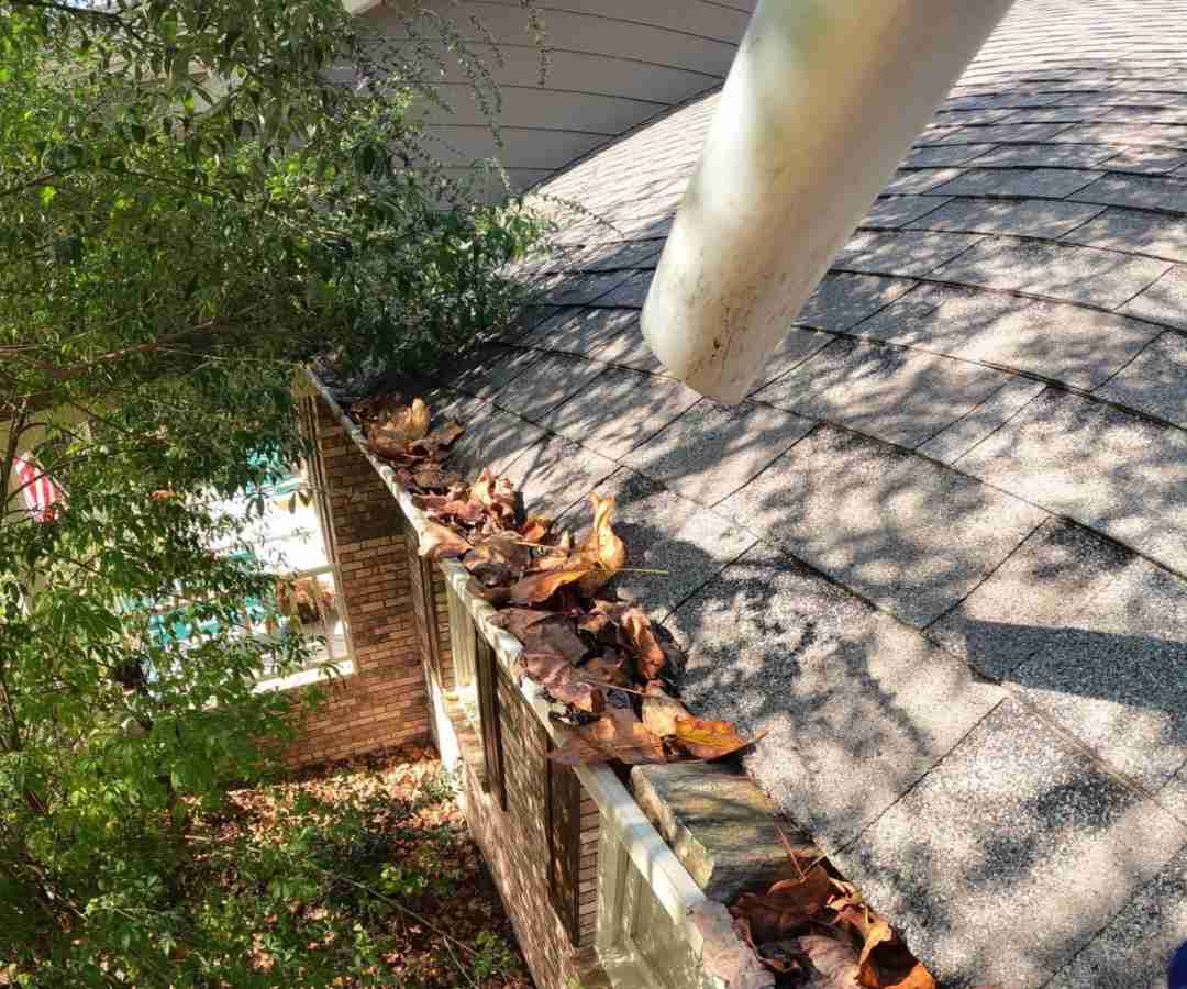 Gutter & Roof Cleaning
