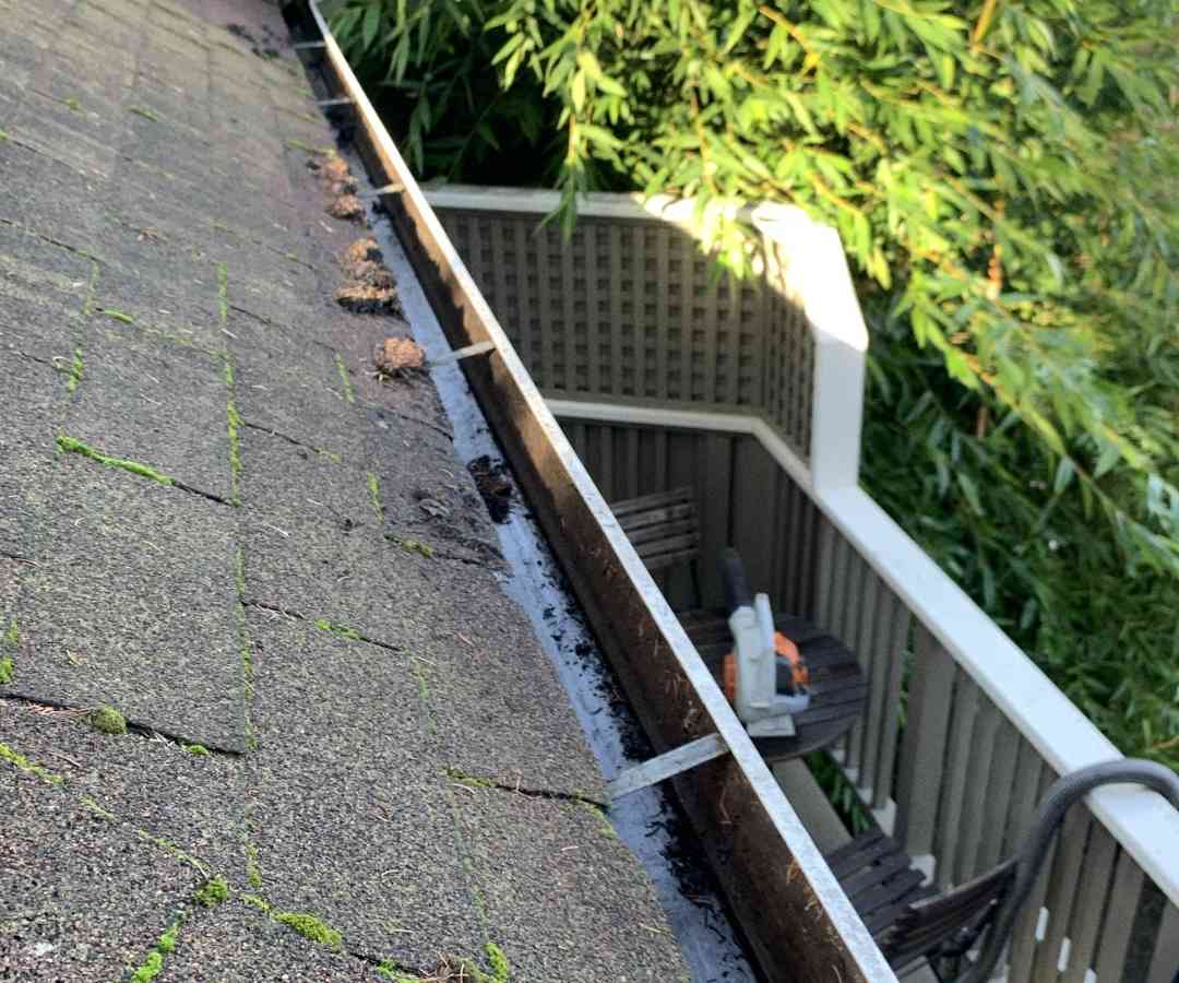 Top Selling Gutter Vacuums
