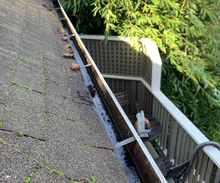 Top Selling Gutter Vacuums
