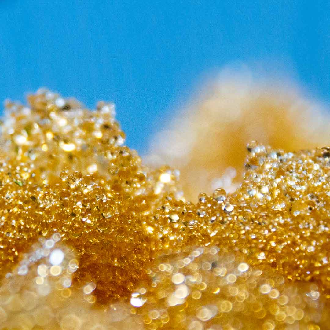 Macro close-up of translucent golden mixed bed resin beads against a solid blue background.