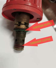 Load image into Gallery viewer, O-ring and Citrus Descaling Packet for Aqua Pro Steamer