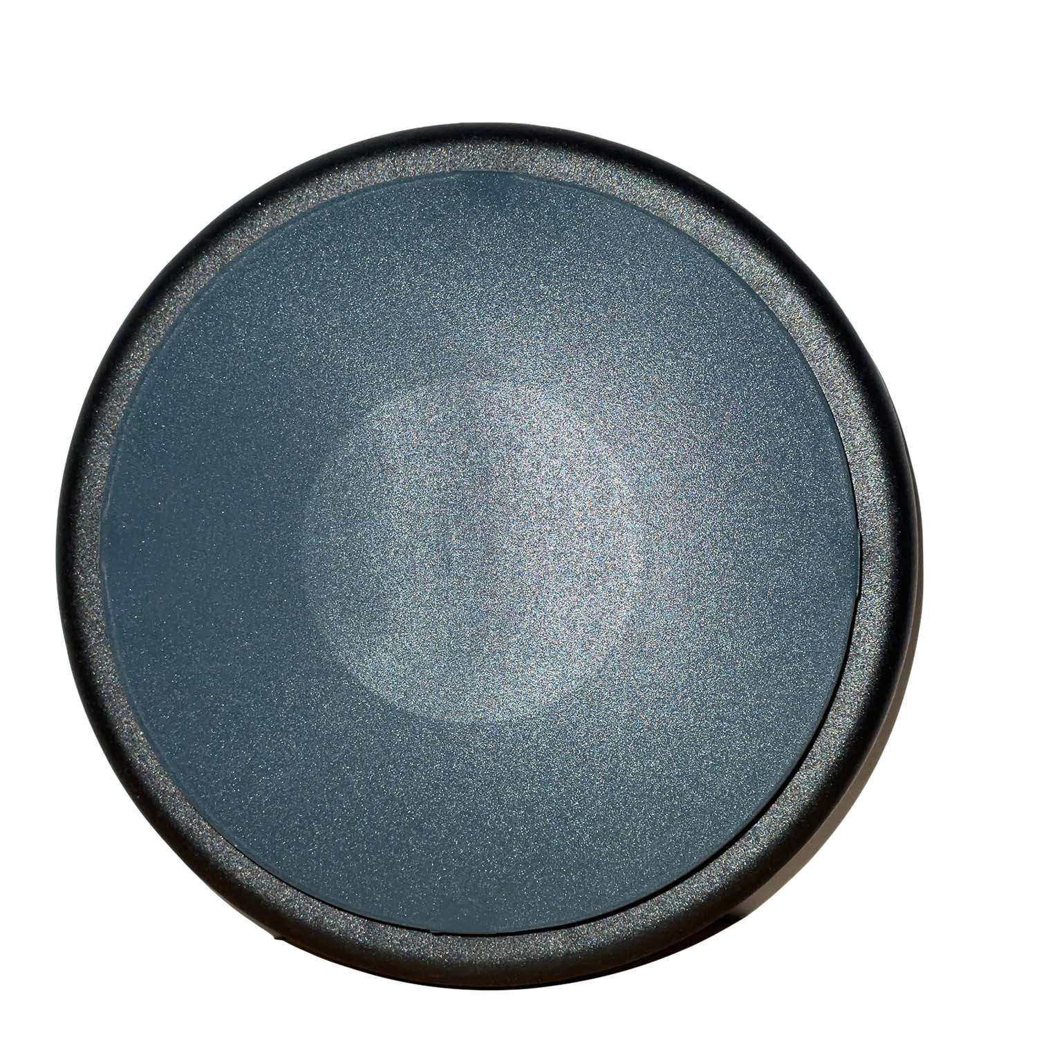 Gallery image 1 for Replacement Wheel for Aqua Pro Steamer
